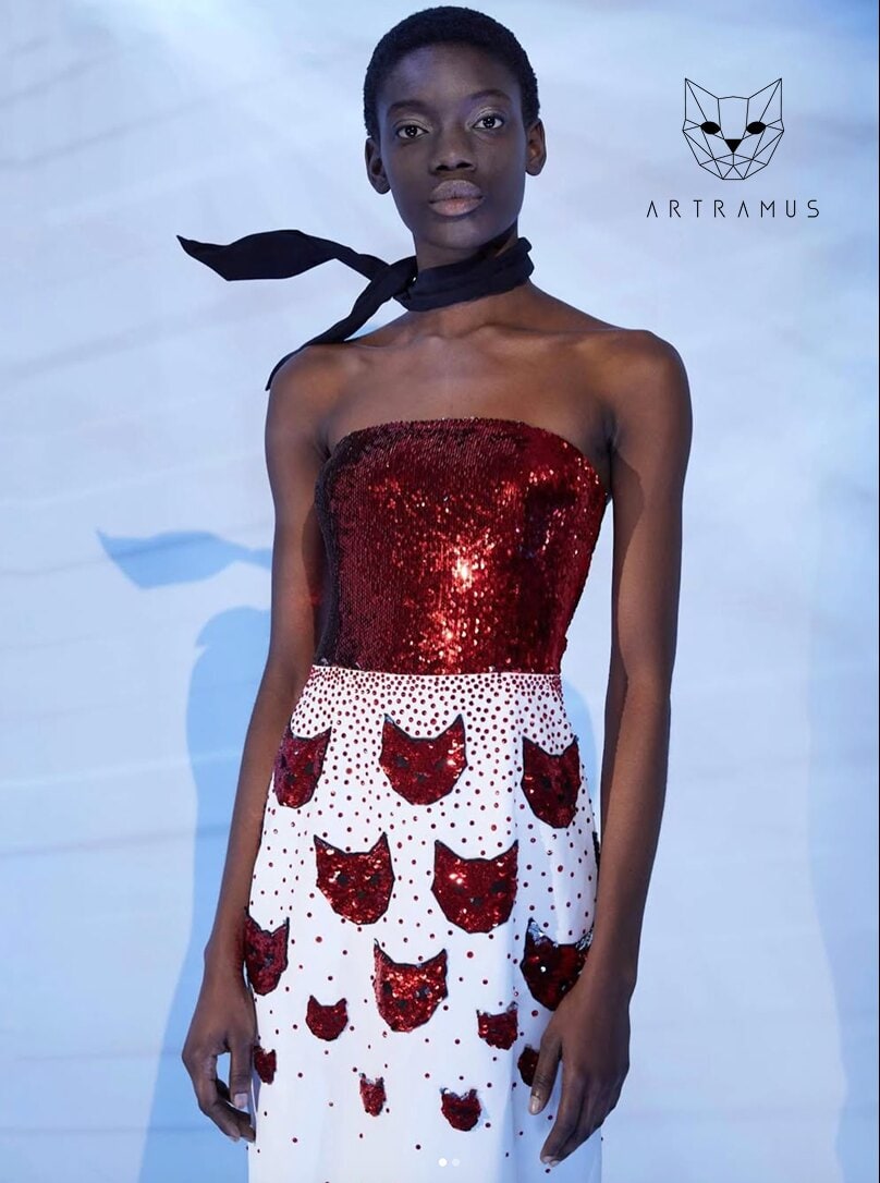 ArtRamus: Foto & Video